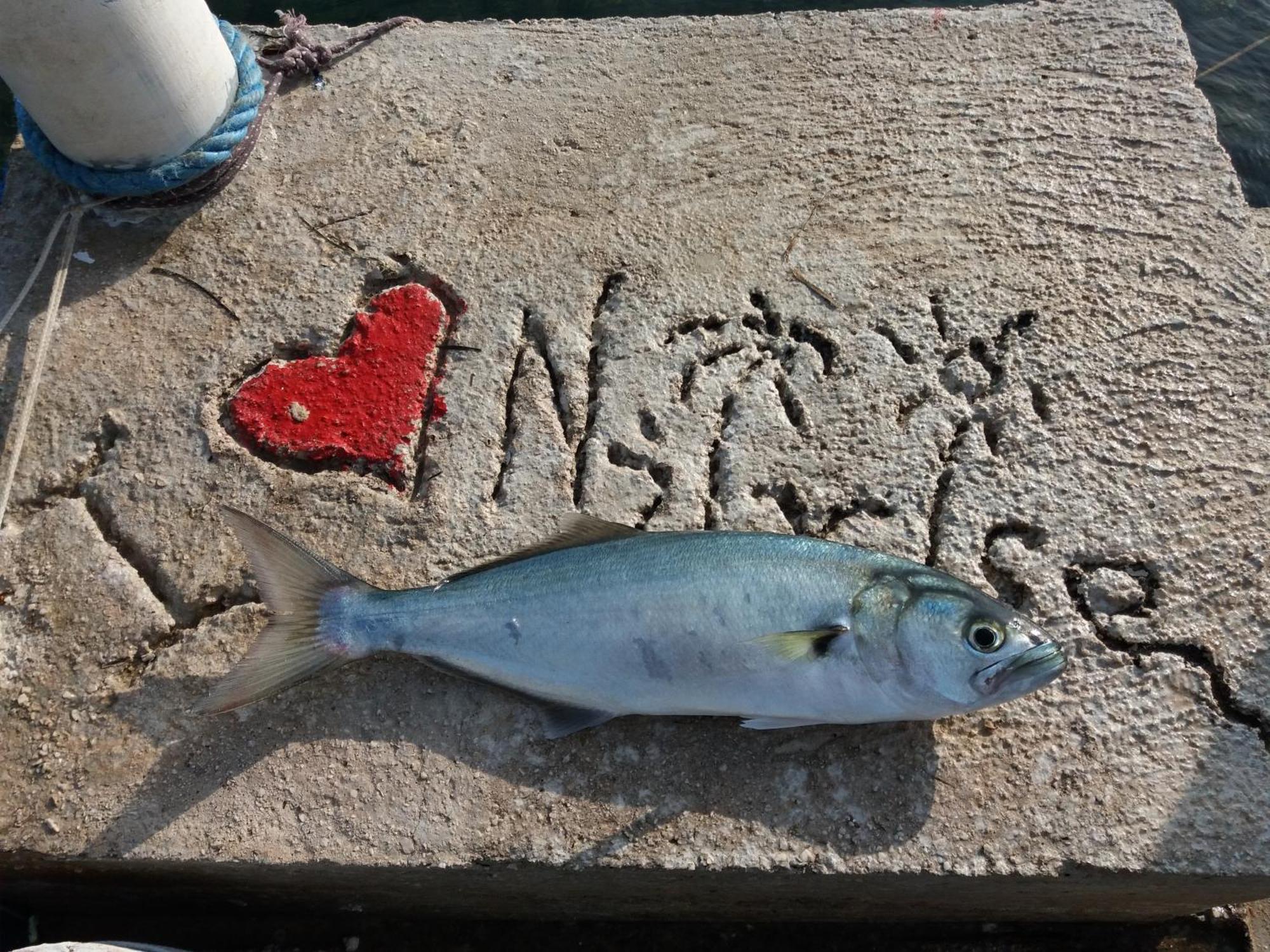 Apartment "I Love Njivice" Herceg Novi Exteriér fotografie